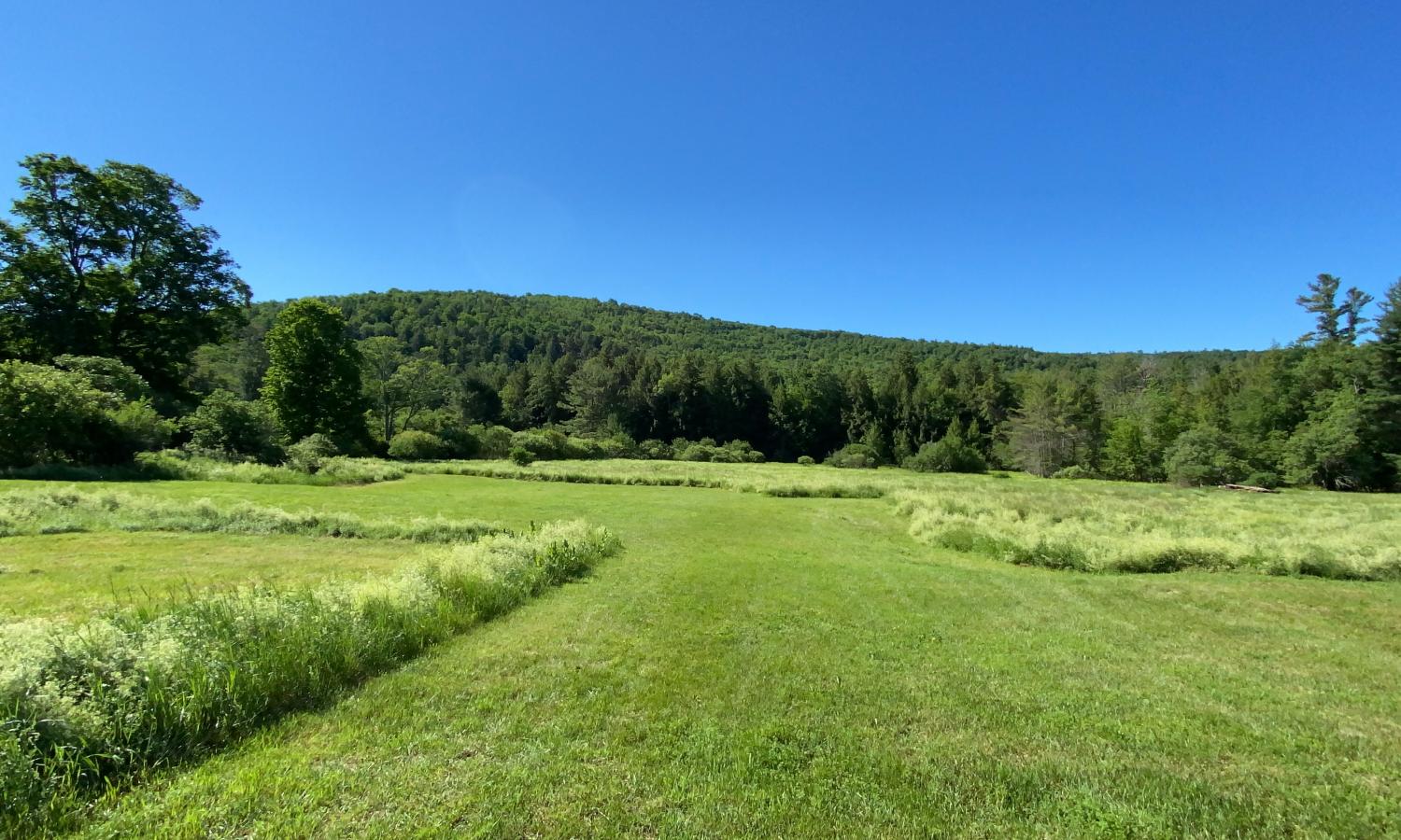 Outside field at back of center