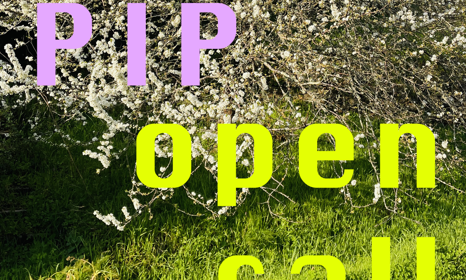 "CASA PIP Open Call"