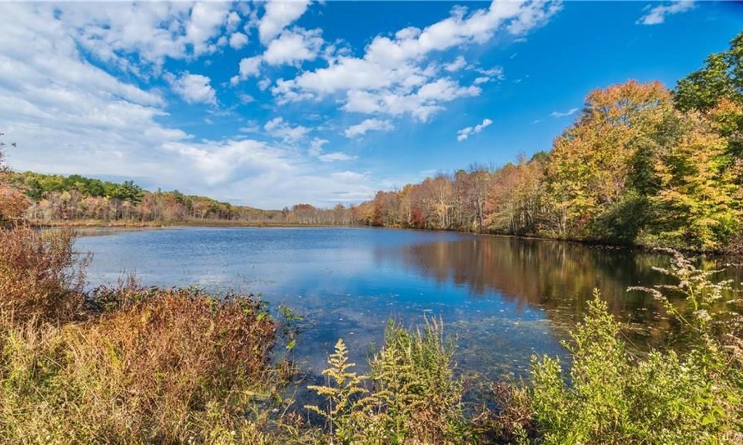 Photo of lake at WildHeart