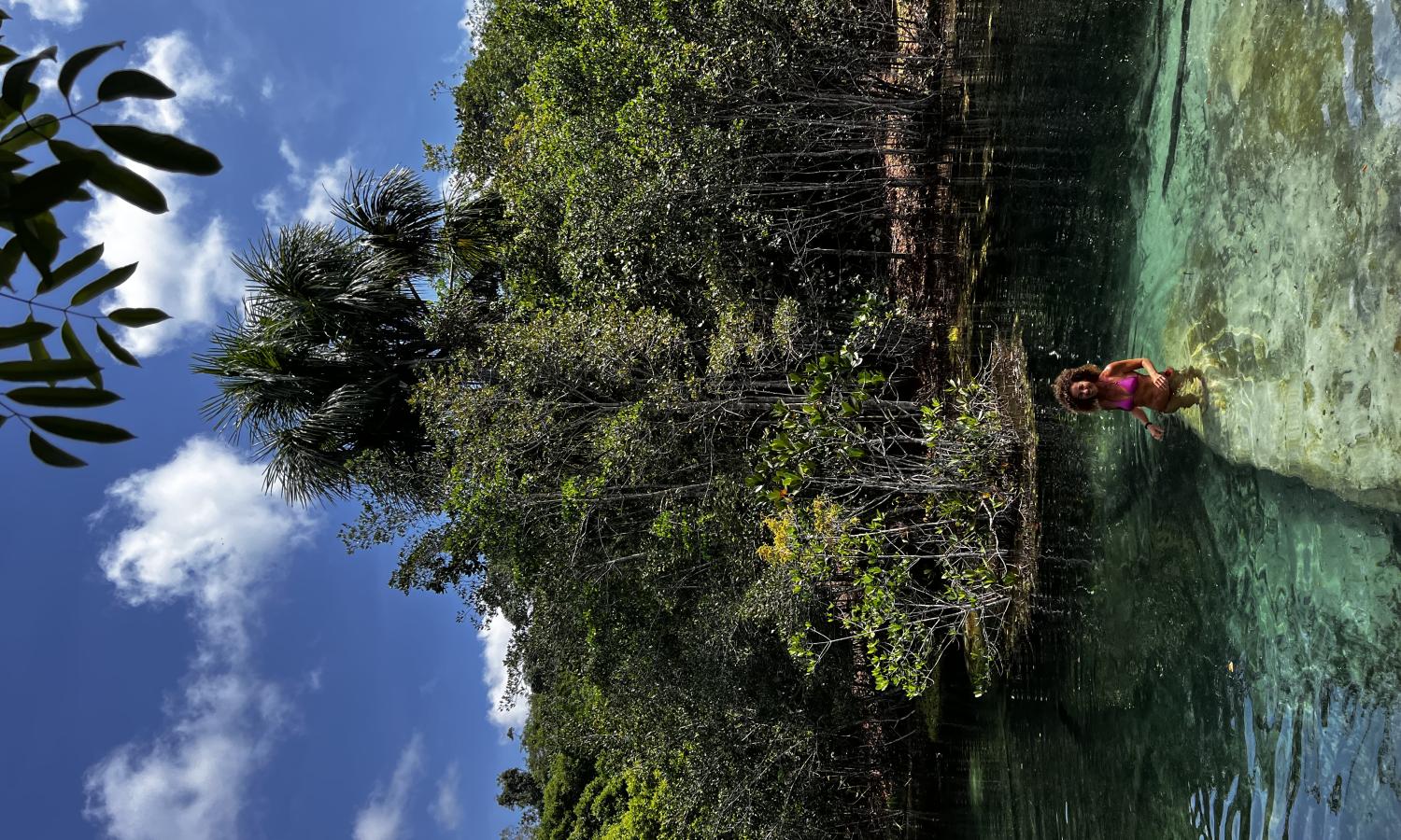 artists swimming in igarape