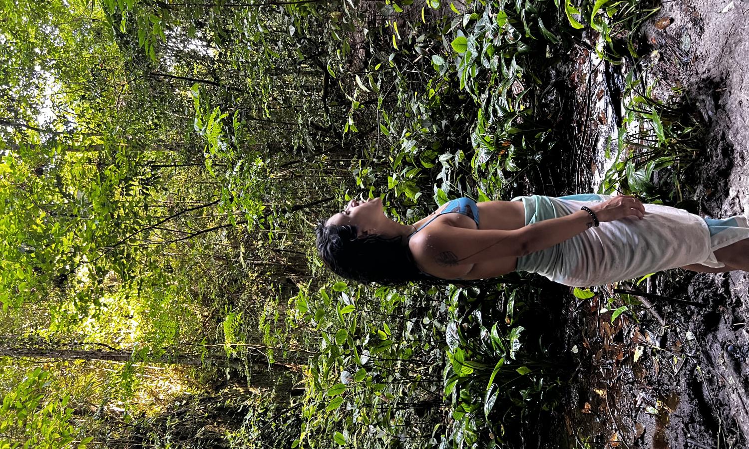artist inn jungle