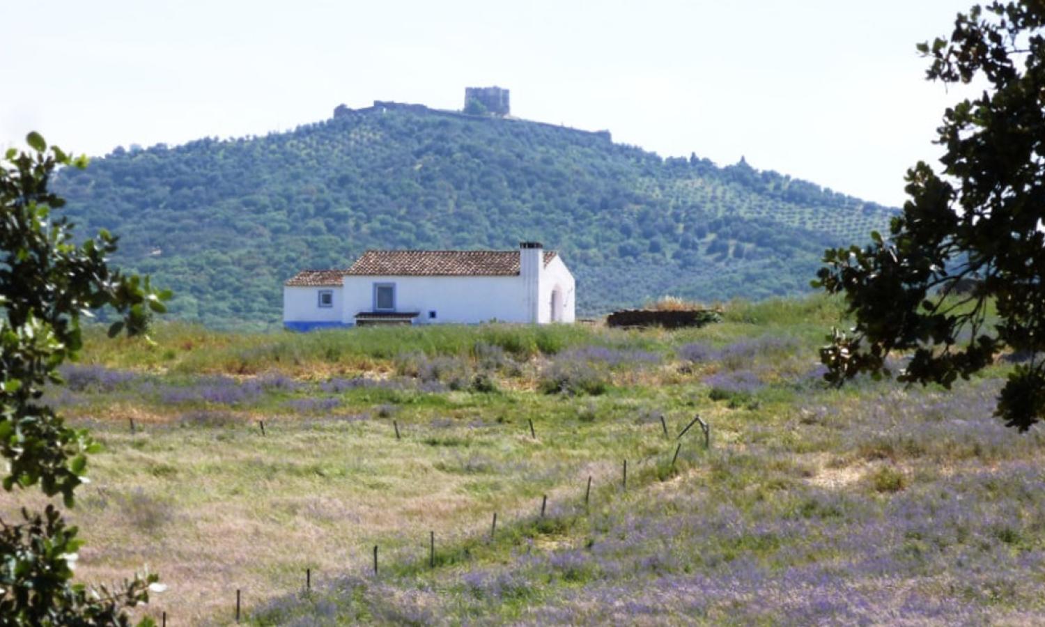 Casa Miradouro
