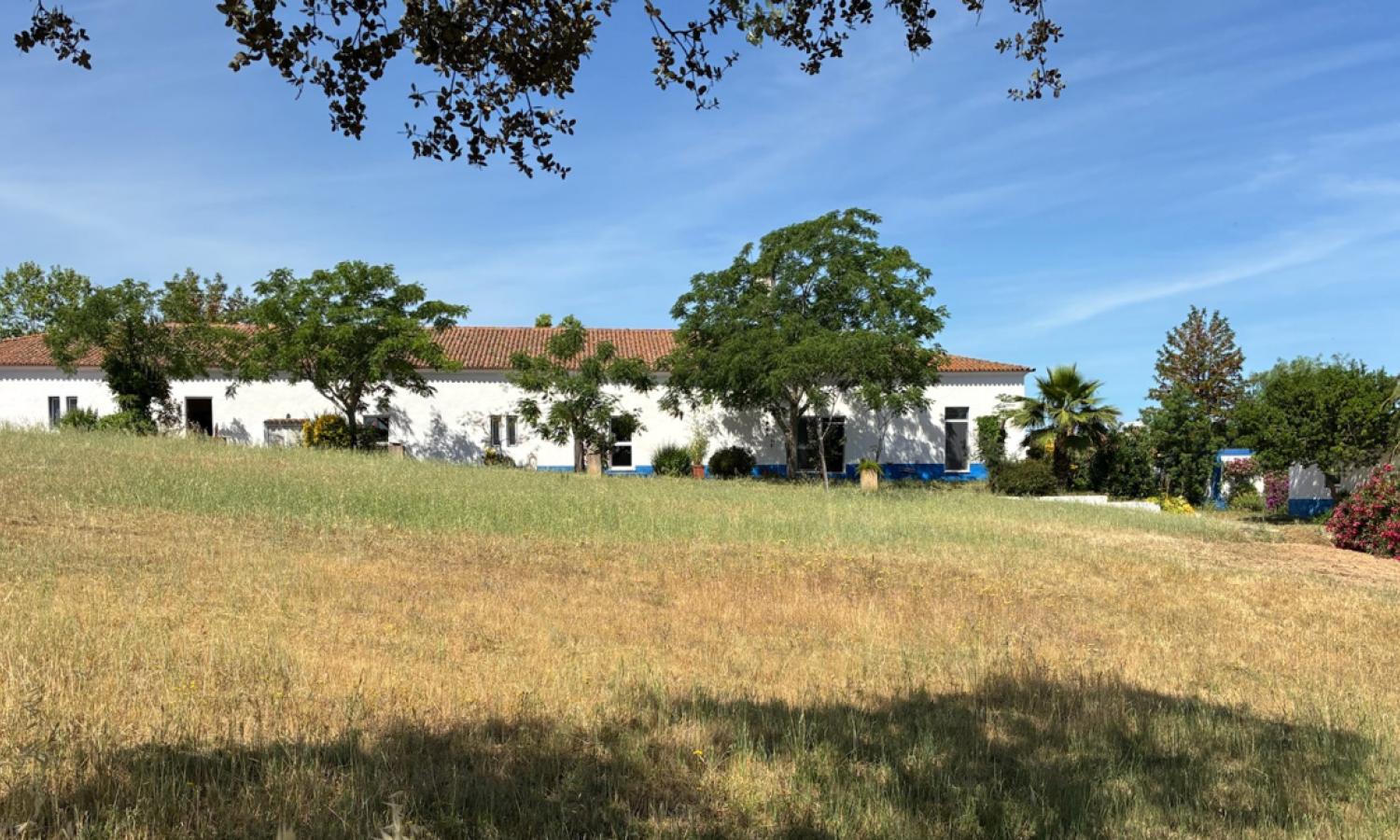 Casa Principal and landscape