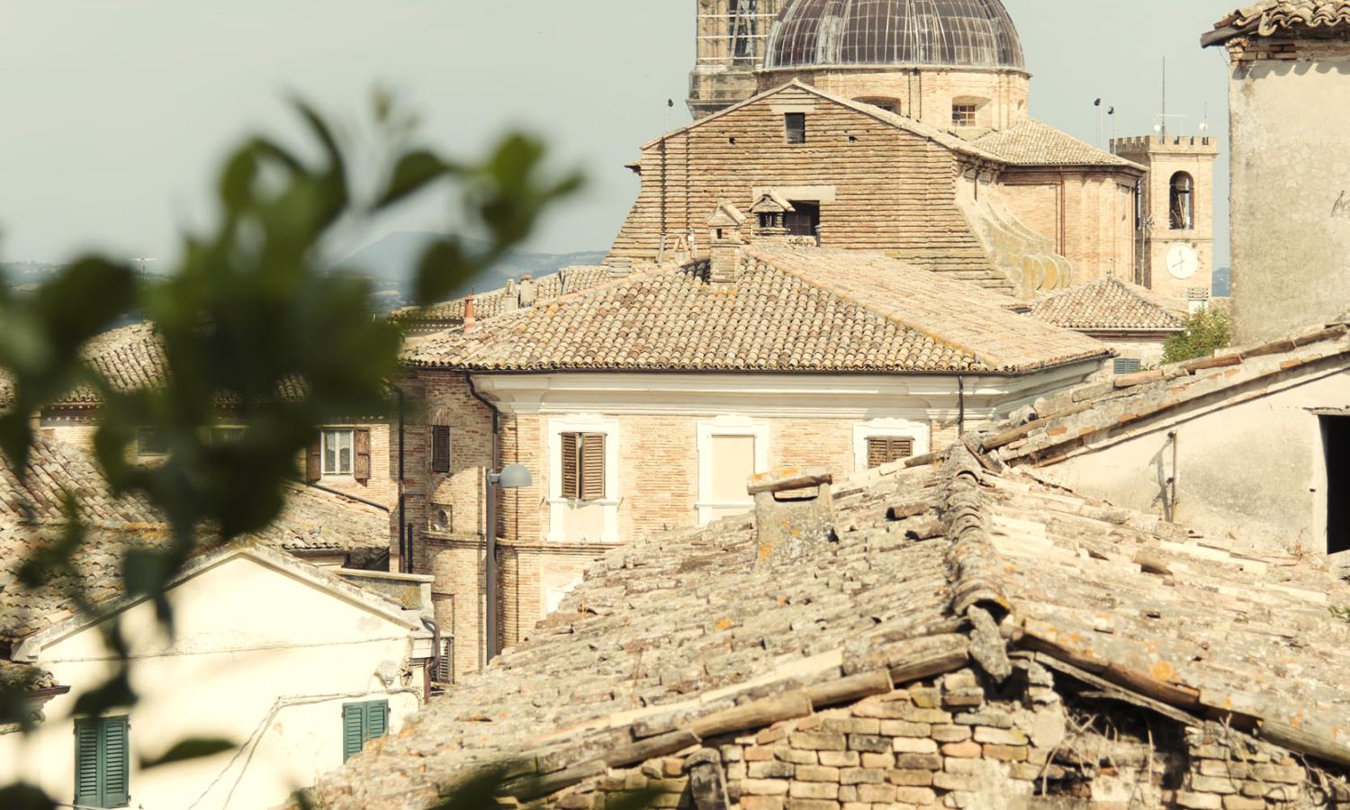 View of Monte San Vito