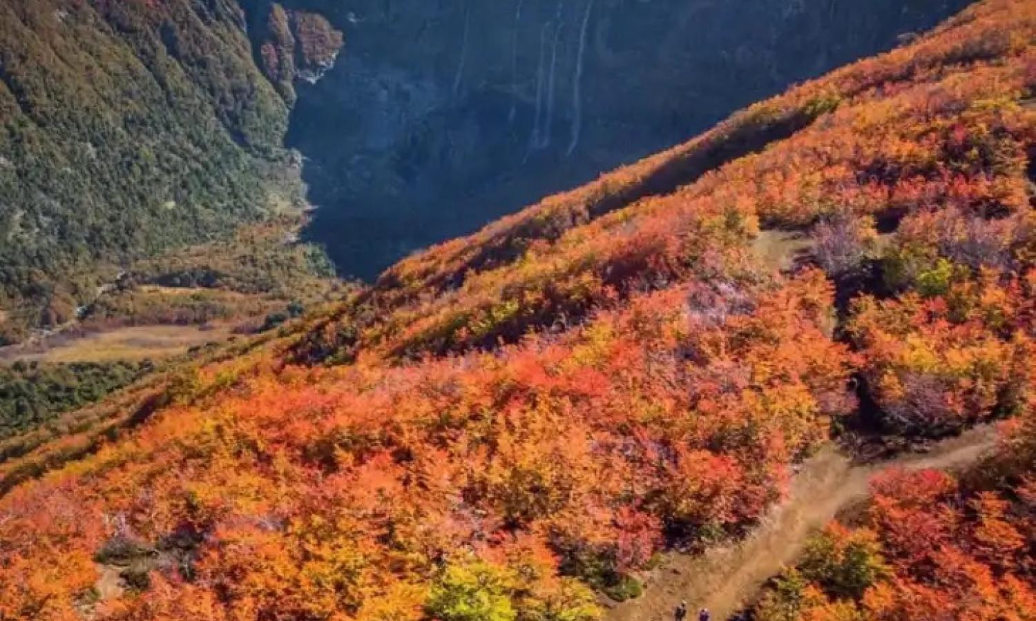 AUTUMN COLORS