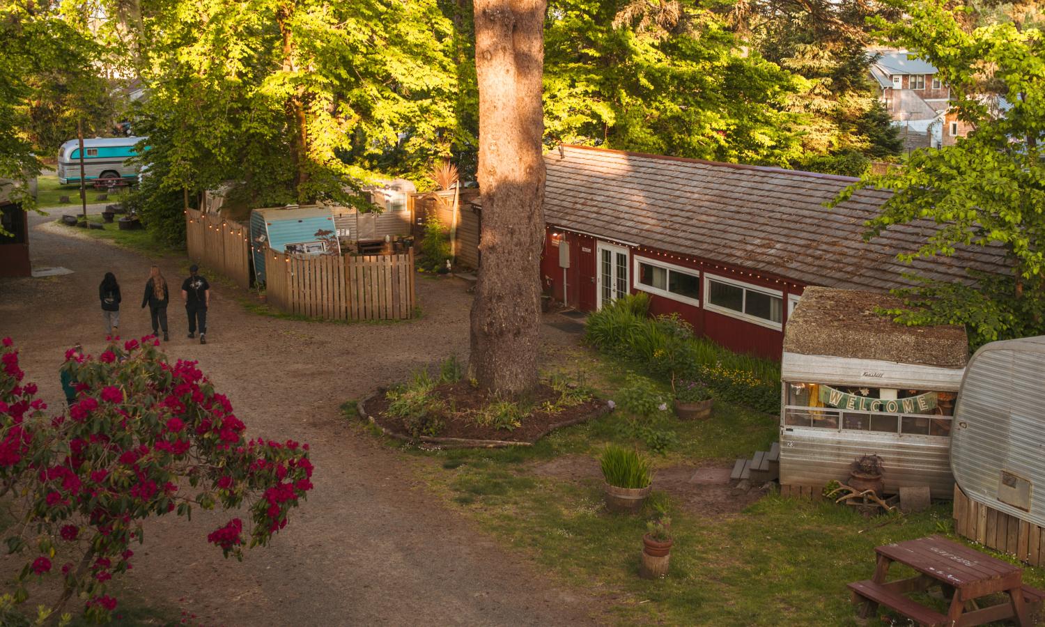 The sou'wester lodge grounds from the balcony of the lodge