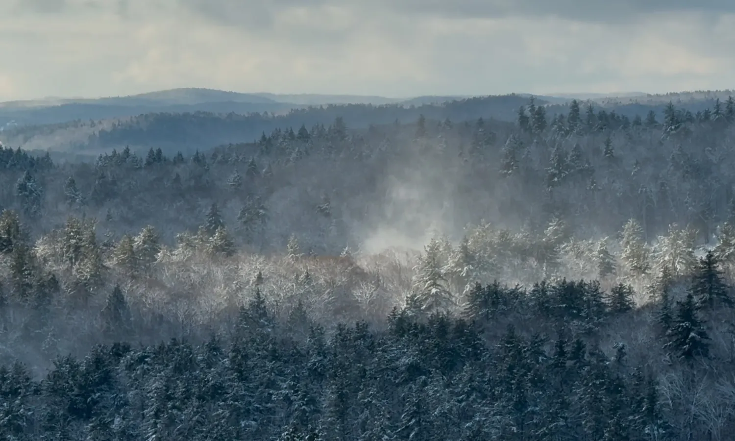 Winter View