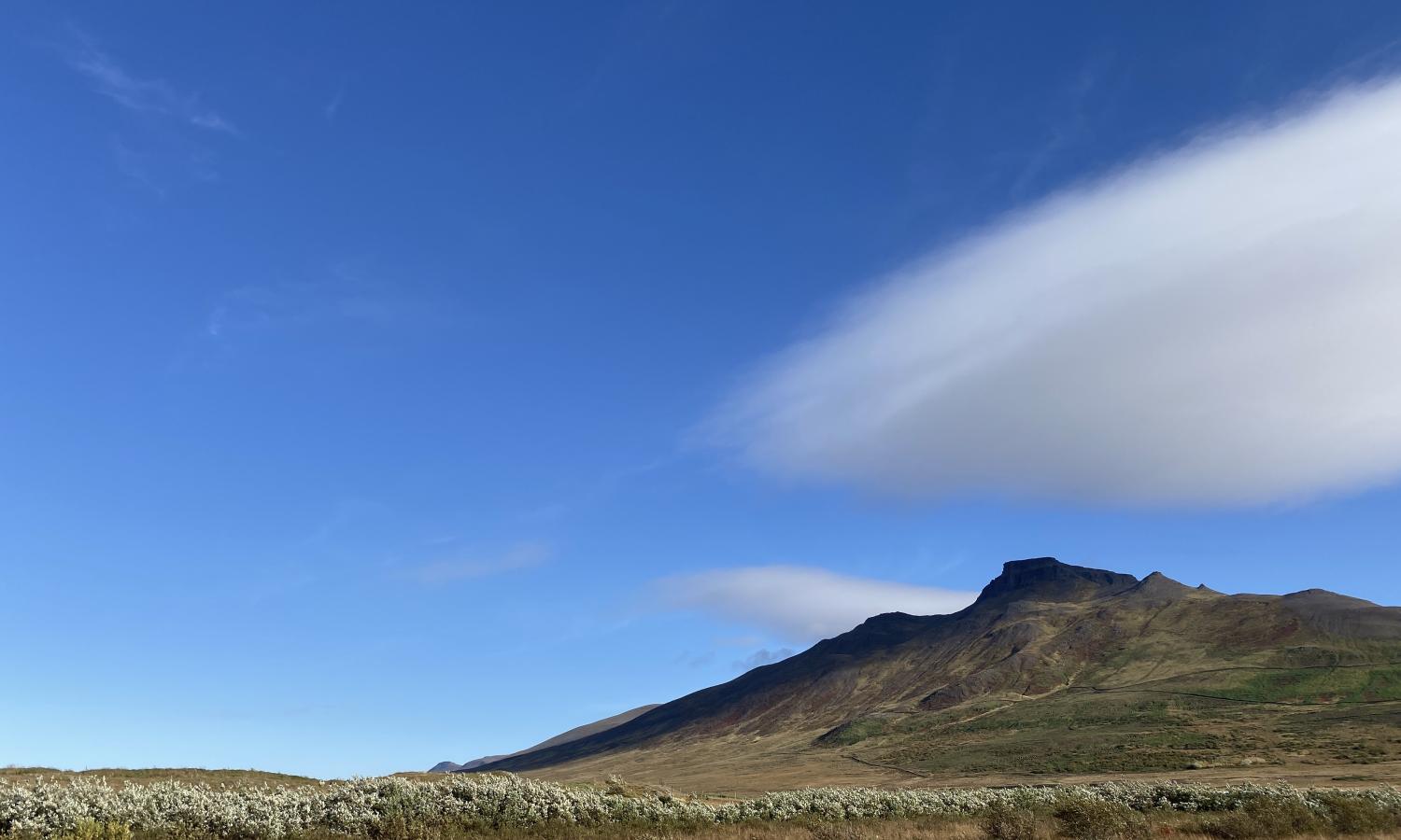 Mt. Spákonufell in Summer