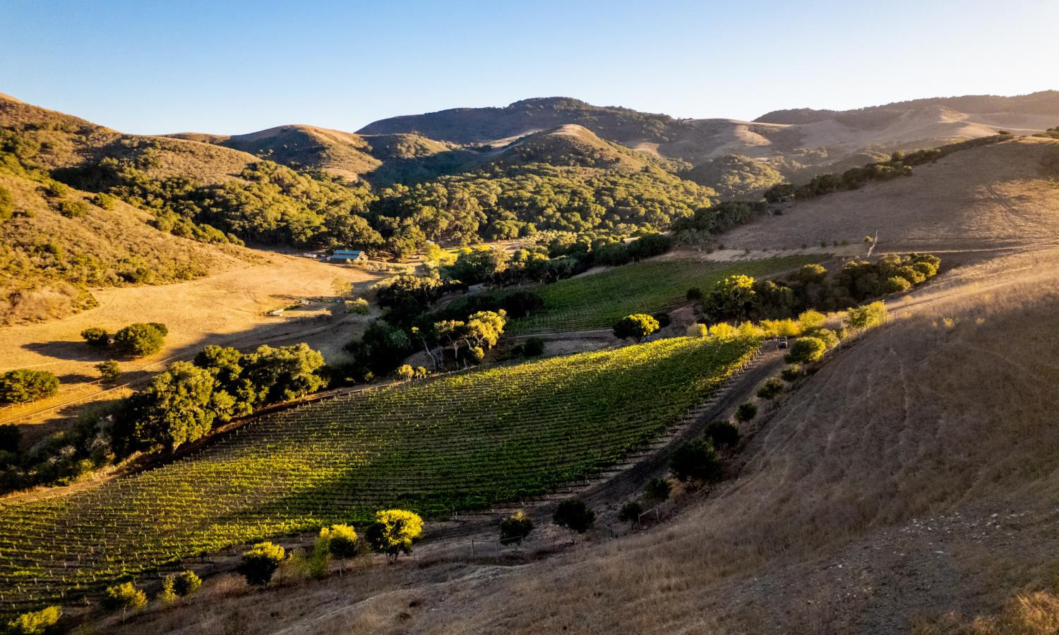 The Ranch