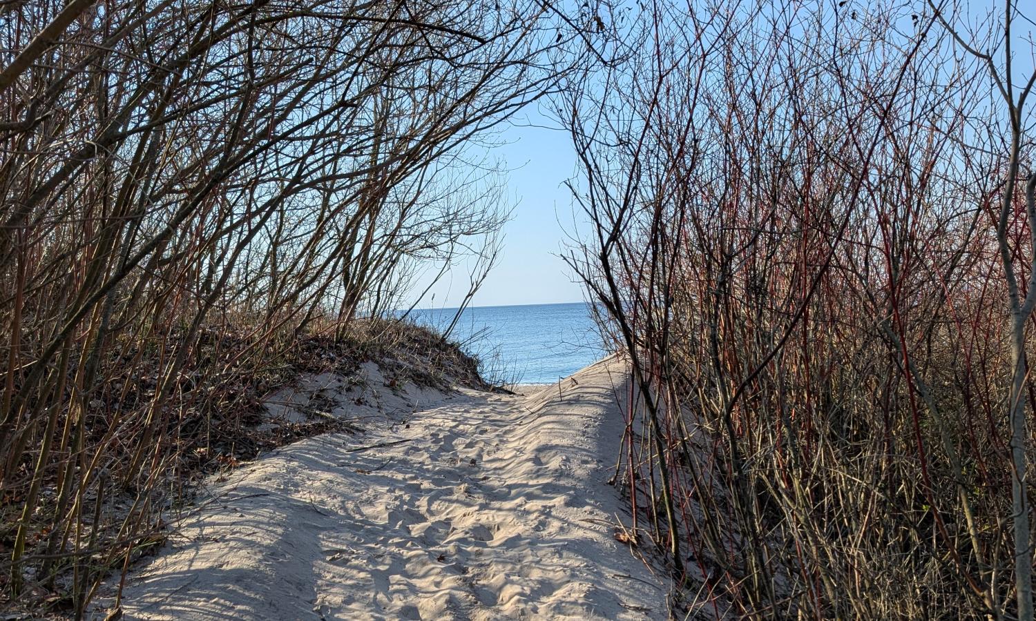 Heading to the shoreline outside our doors at Gibraltar Point
