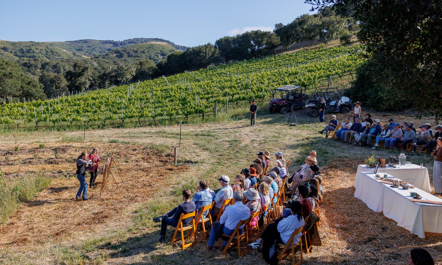 Concert in the Vineyard