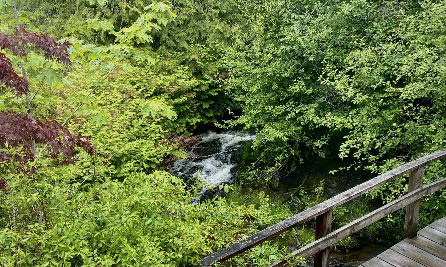 View from the Great Room
