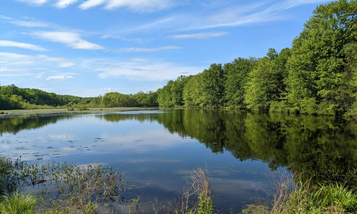 The Lake